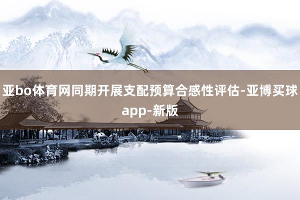 亚bo体育网同期开展支配预算合感性评估-亚博买球app-新版
