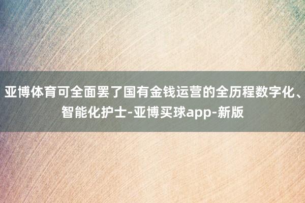 亚博体育可全面罢了国有金钱运营的全历程数字化、智能化护士-亚博买球app-新版