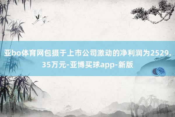 亚bo体育网包摄于上市公司激动的净利润为2529.35万元-亚博买球app-新版