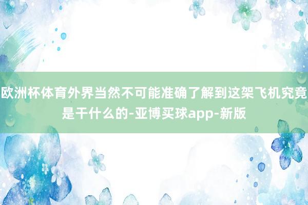 欧洲杯体育外界当然不可能准确了解到这架飞机究竟是干什么的-亚博买球app-新版