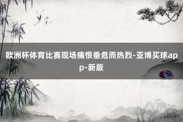 欧洲杯体育比赛现场痛恨垂危而热烈-亚博买球app-新版