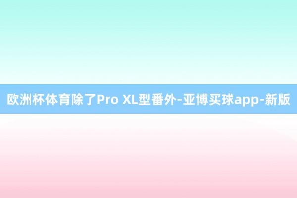 欧洲杯体育除了Pro XL型番外-亚博买球app-新版
