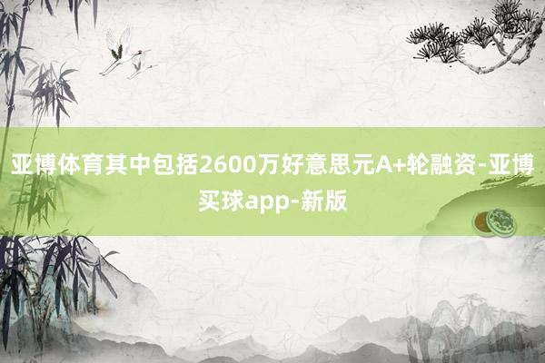 亚博体育其中包括2600万好意思元A+轮融资-亚博买球app-新版