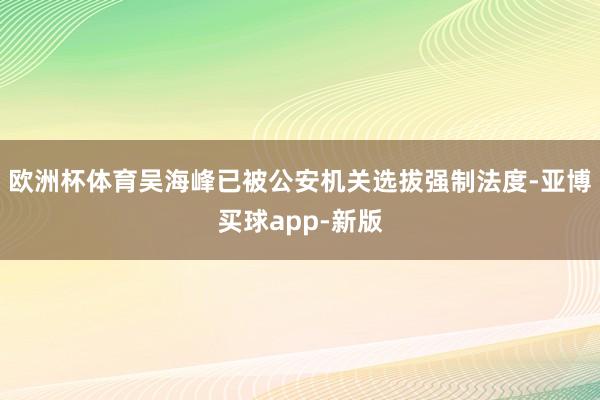 欧洲杯体育吴海峰已被公安机关选拔强制法度-亚博买球app-新版