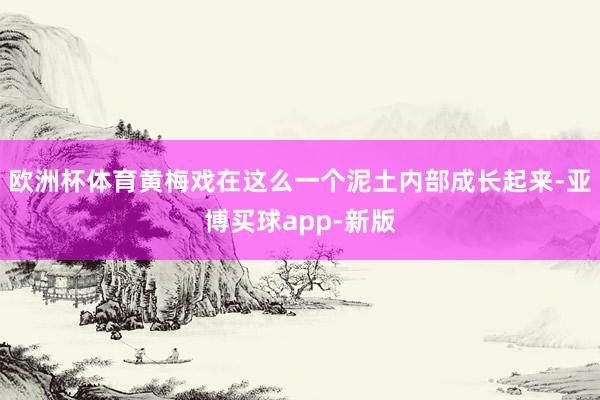 欧洲杯体育黄梅戏在这么一个泥土内部成长起来-亚博买球app-新版